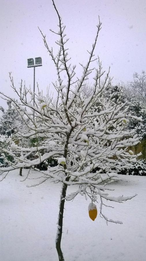 Hotel Ginevra Poggiomarino Kültér fotó